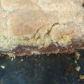 El cooksnap de camifran cuando hizo Crumble de manzanas.