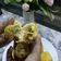 Cooksnap dari neychan jombang untuk resep Donat isi rogut #TiketGoldenBatikApron
