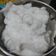 Cooksnap dari Almasita untuk resep 605. Bubur Sumsum Kara
