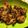 Cooksnap dari Herman Siswadi untuk resep Spicy Chicken Wings