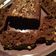El cooksnap de Franne_90 cuando hizo Queque de Zanahorias y Cacao (con harina de Avena).