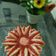 Cooksnap dari Witia Santi untuk resep Cheese Cake Roti Tawar