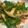 好評兄 的 蠔油香菇 cooksnap