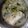 El cooksnap de Ali Taylor cuando hizo Cazuela de pescadilla en salsa verde con guisantes.
