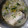 El cooksnap de Ali Taylor cuando hizo Cazuela de pescadilla en salsa verde con guisantes.