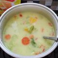 Cooksnap dari Suci Widya untuk resep SAYUR LODEH KUNING fiber creme bumbu iris