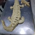 Cooksnap dari Rossi Ramsiah untuk resep Roti buaya #5resepterbaruku