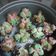Cooksnap dari Hetty Sulastri untuk resep Bolu Kukus Mekar Simple