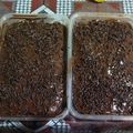 Cooksnap dari Nurul Azizah untuk resep Brownies Chocolatos Lembut 2 Telur No Mixer