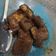 Cooksnap dari Aisyah As-Salafiyah untuk resep Semur Terong Ungu