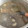 Cooksnap dari herfin setyo untuk resep Soto Padang