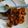 Cooksnap dari windy wellingtonia untuk resep Babat Goreng Madura