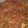Harini thakur's cooksnap of when they made Namkeen jave.