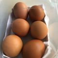 Cooksnap Dapur Yusfarisyia semasa beliau membuat Tips : Cara simpan telur.