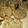 El cooksnap de Gabriela Miño cuando hizo Galletitas de Avena sin harina súper fáciles!.