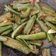 Cooksnap dari Cadis untuk resep Tumis Terong Medan