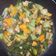 Cooksnap dari muslimah untuk resep Cah Pak Coy