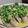 小林 的 蔥油雞腿捲 cooksnap
