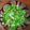Cooksnap của Nguyễn Diệu Nga khi họ làm theo món Salad rau củ quả