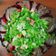 Cooksnap của Nguyễn Diệu Nga khi họ làm theo món Salad rau củ quả