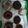 Cooksnap dari Ummu Noor untuk resep Donat Maizena