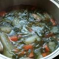 izawoodsman's cooksnap of when they made How to: Vegetable Stock.