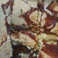 El cooksnap de Estefania M cuando hizo Budín de coco con dulce de leche, sin molde!.
