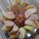 Swati Parmar Rathod's cooksnap of when they made ફ્રુટ્સ ડીશ (Fruits Dish Recipe In Gujarati).