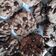 Cooksnap dari tyong untuk resep Chocochip cookies teflon (1 telur)