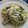 Cooksnap de Feeh Freitas quando cozinhou Penne ao pesto com frango em tiras.