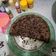 Cooksnap dari Lily Lily untuk resep Bolu Panggang Coklat Simpel