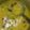 Shagufta Sheikh's cooksnap of when they made My specialty mix daal.