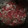 D's cooksnap of when they made Pico de Gallo.