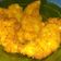 Cooksnap dari Nisa Yuliana untuk resep Chicken Katsu (Frozen food)