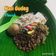 Cooksnap dari Melda Melinda untuk resep Gudeg Komplit