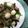 Cooksnap dari Ka Pawon by Elysnawati untuk resep Japchae!