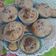 El cooksnap de Lucia Bustamante cuando hizo Cupcakes de chocolate.