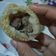 Cooksnap dari Raihan Rusli untuk resep ONDE-ONDE KOPONG isi kacang merah,enak bikin nagih