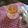 Mohaddeseh Allami's cooksnap of when they made Magic Tea Masala.