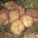 Cooksnap dari Evie Nj untuk resep Perkedel singkong simple