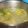 Cooksnap dari kia untuk resep Soto seger boyolali