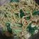 Cooksnap dari Sia Swie Ling untuk resep Mie goreng hokkien style malay (bikin diet Gagal)