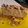 El cooksnap de Inés Ramírez cuando hizo Tarta de turrón.