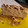 El cooksnap de Inés Ramírez cuando hizo Tarta de turrón.