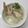 Cooksnap dari Nuning Puspa untuk resep Sup/air kaldu #keto