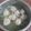 愛吃的小芸 的 貢丸湯 cooksnap