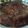 Vidhya Halvawala's cooksnap of when they made Chocolate cake.