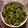 Foram C. Virani's cooksnap of when they made Tindora Subzi with Peanut Masala.