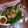 ÝTumpa Bose's cooksnap of when they made ভাজা পিঠে (bhaja pithe recipe in bengali).