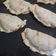 El cooksnap de Sara Gil cuando hizo Tapas de empanadas para horno.